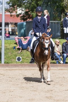 Bild 573 - Pony Akademie Turnier